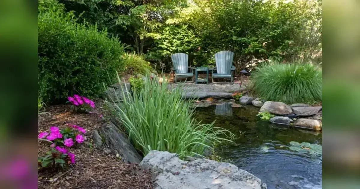 Creating A Backyard Meditation Garden