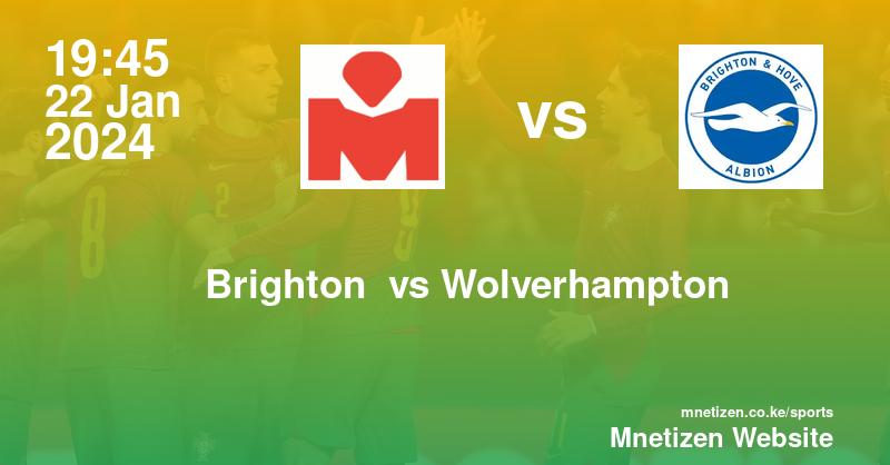 Brighton and Hove Albion vs Wolverhampton Wanderers 22/01/2024 19:45
