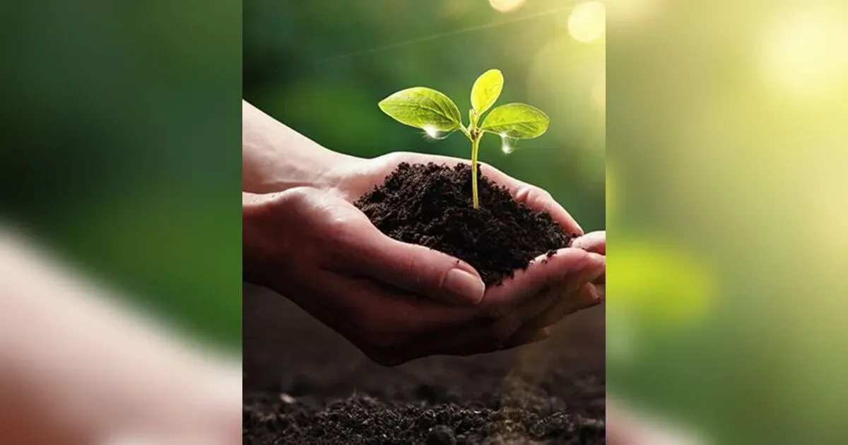 How To Determine The Best Crop For Your Soil.