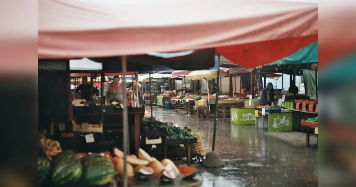 Shopping Smart In A New Country: Tips For Success