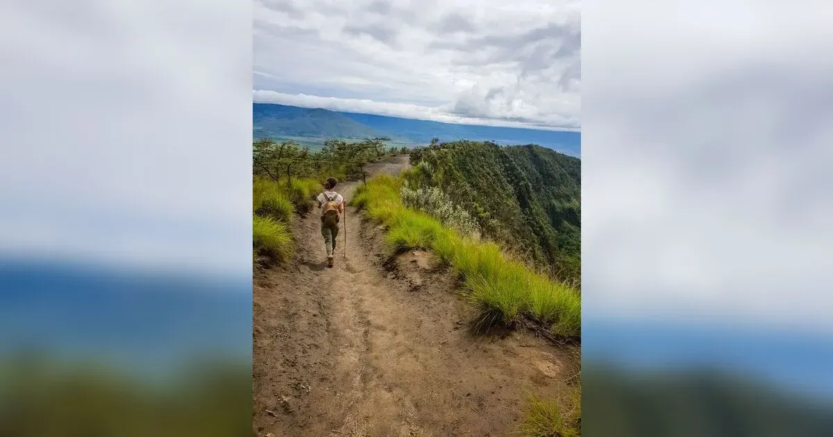 Top 5 Forests For Hiking In Kenya: Explore The Wonders Of Nature
