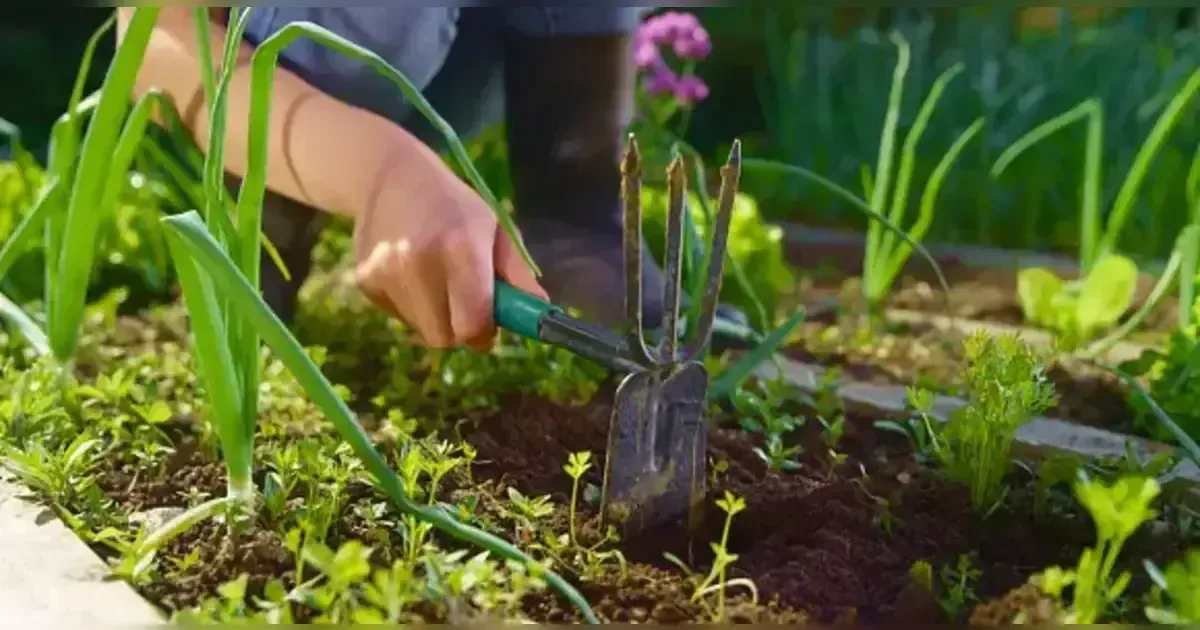 Pest And Disease Control: Natural Remedies For Common Garden Problems