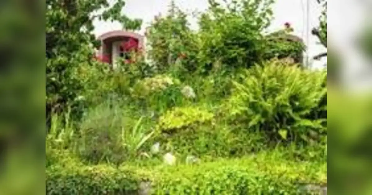 The Untended Oasis: Dangers Of Leaving Your Home Garden Unattended In Kenya