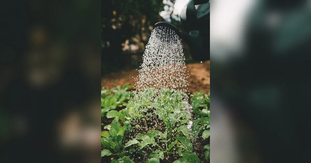 Cultivating Vitality: Nurturing Thriving Gardens