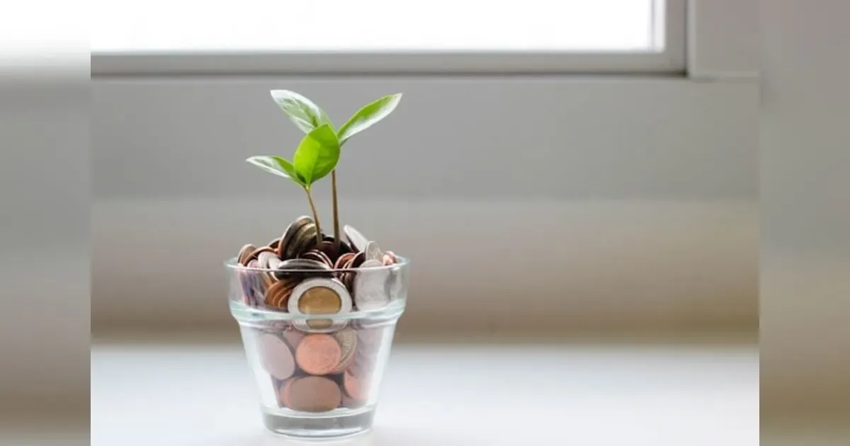 Navigating The Labyrinth: Strategies For Financial Resilience In Uncertain Times.