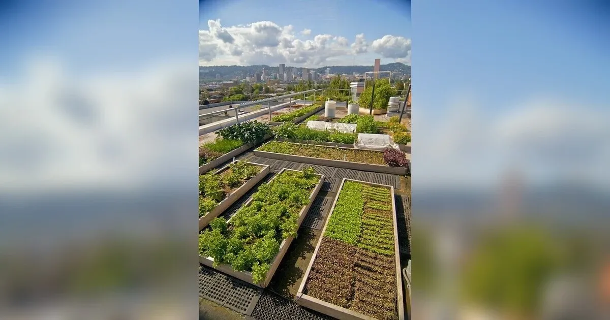 Growing Green, Unearthing The Urban Farming Revolution