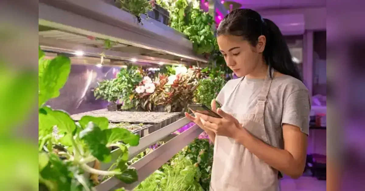 How To Integrate Technology Into Your Home And Garden