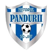 ACS Viitorul Târgu Jiu