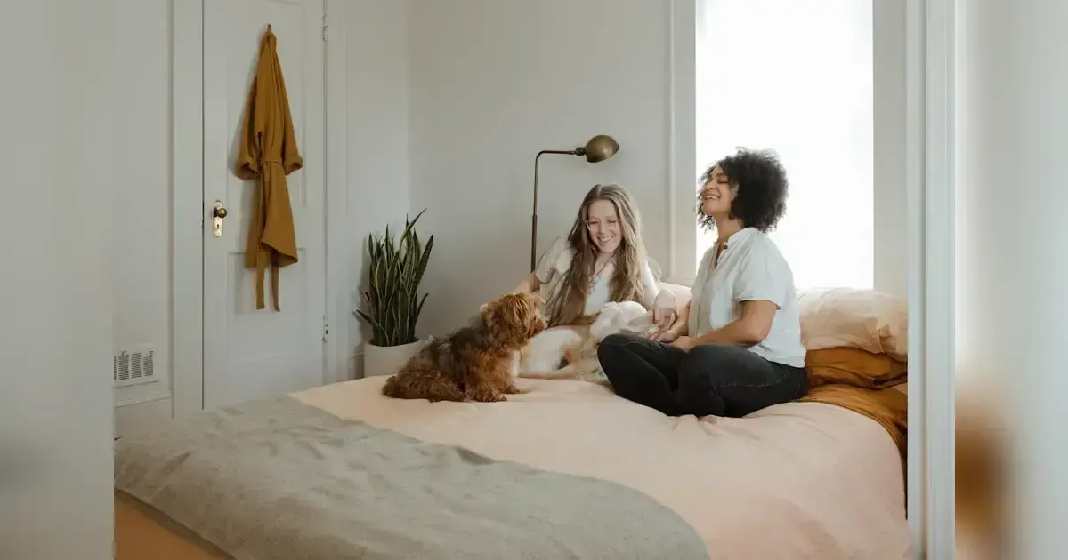 How To Prevent Your Pet From Causing Trouble In The Neighborhood