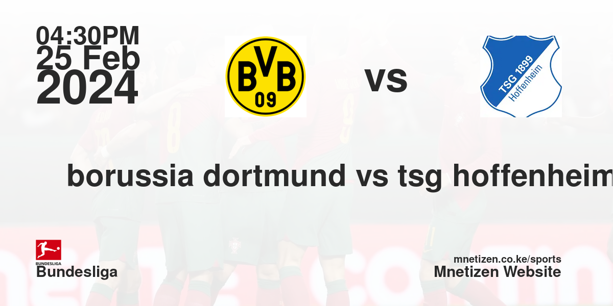borussia dortmund vs tsg hoffenheim 25/02/2024 16:30