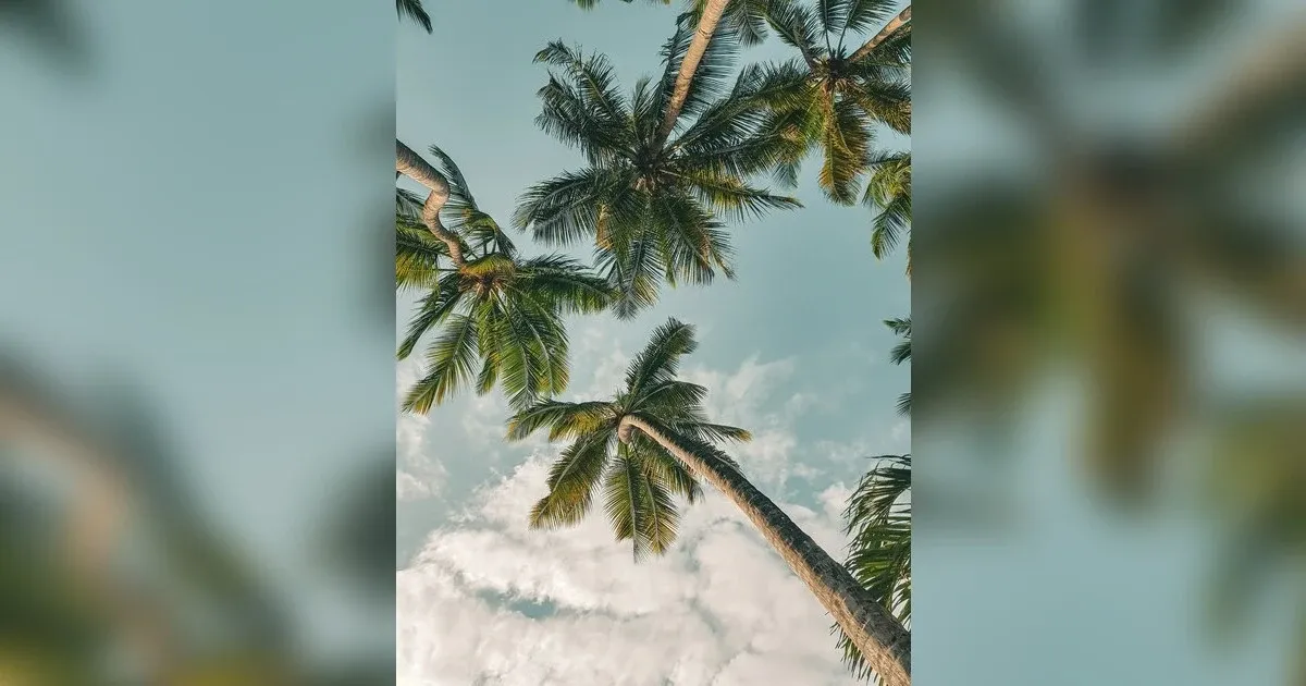 Kenya's Coastal Gem: Mombasa's Enduring Appeal