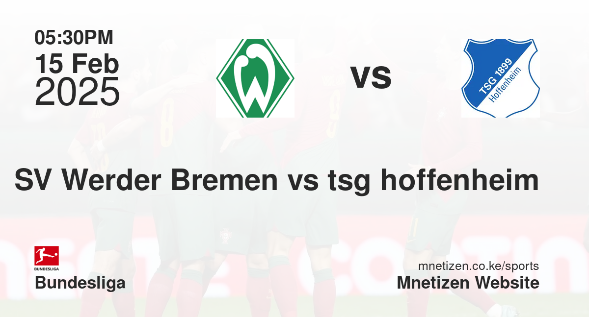 SV Werder Bremen vs tsg hoffenheim