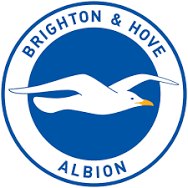Brighton and Hove Albion W.F.C