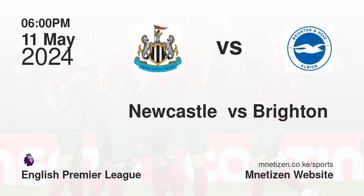 Newcastle  vs Brighton 