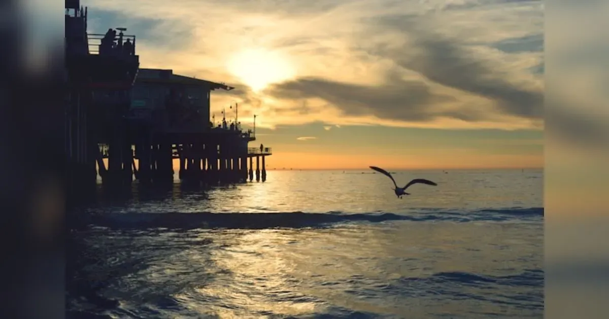 The Financial Horizon Of 2024: Trends That Will Define The Next Decade.