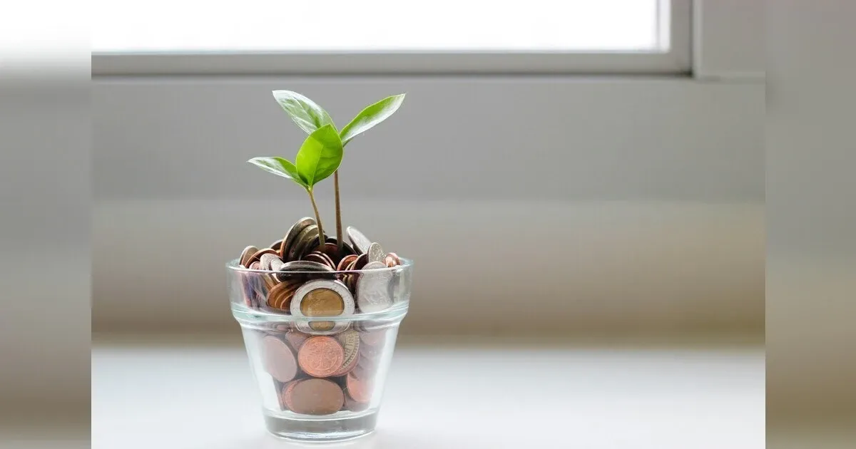 Live Large On A Small Budget: Essential Tips To Maximize Your Savings