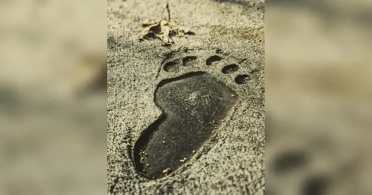 How To Clean Up Your Digital Footprint: A Step By Step Guide