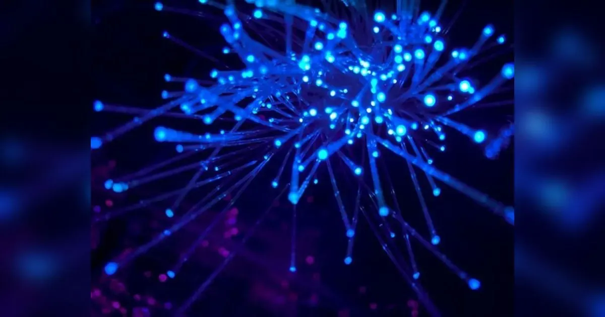 The Moral Matrix: How The Internet Rewrites Right And Wrong