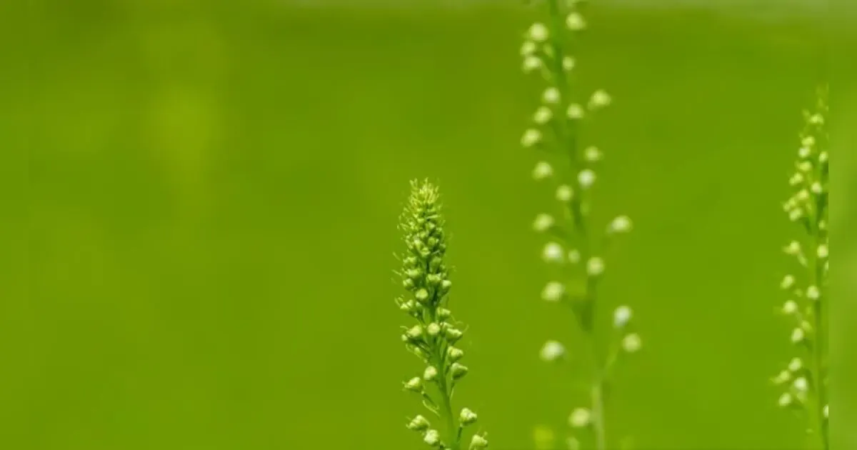 The Green Economy And Finance: Funding A Sustainable Future In 2024.