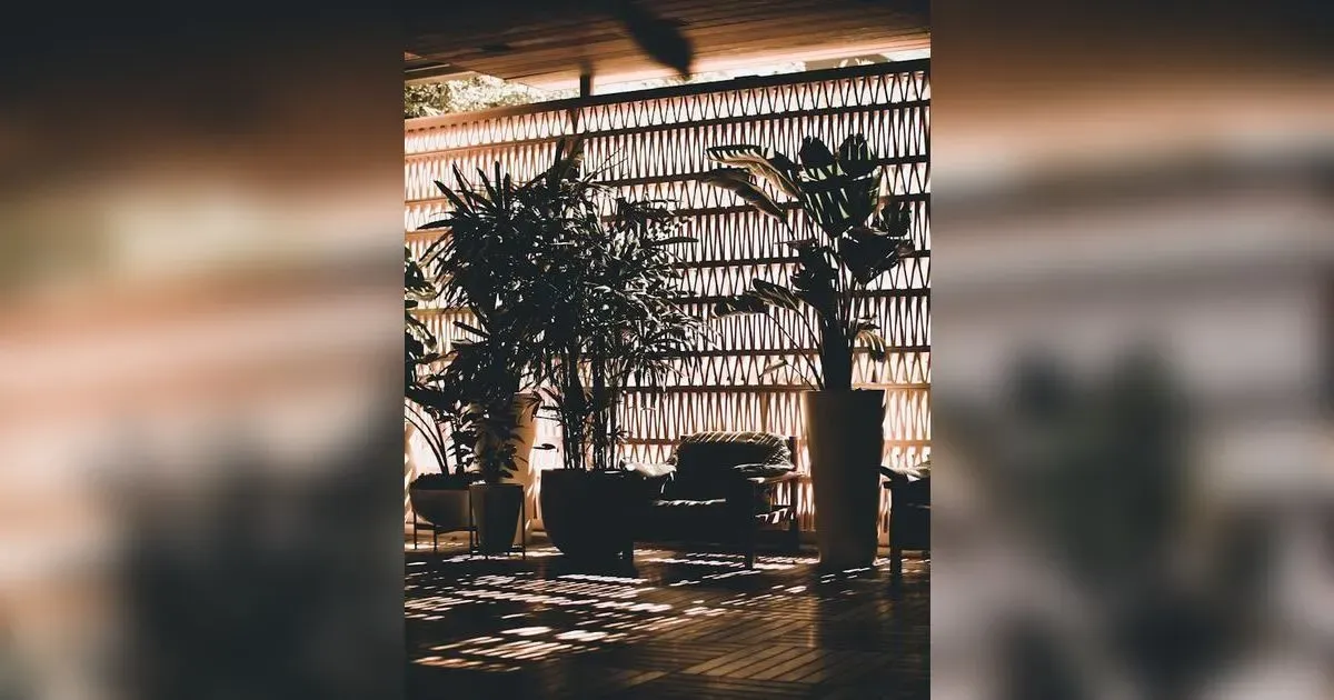 Low Maintenance Indoor Plants For Busy Homeowners:The Ultimate Guide