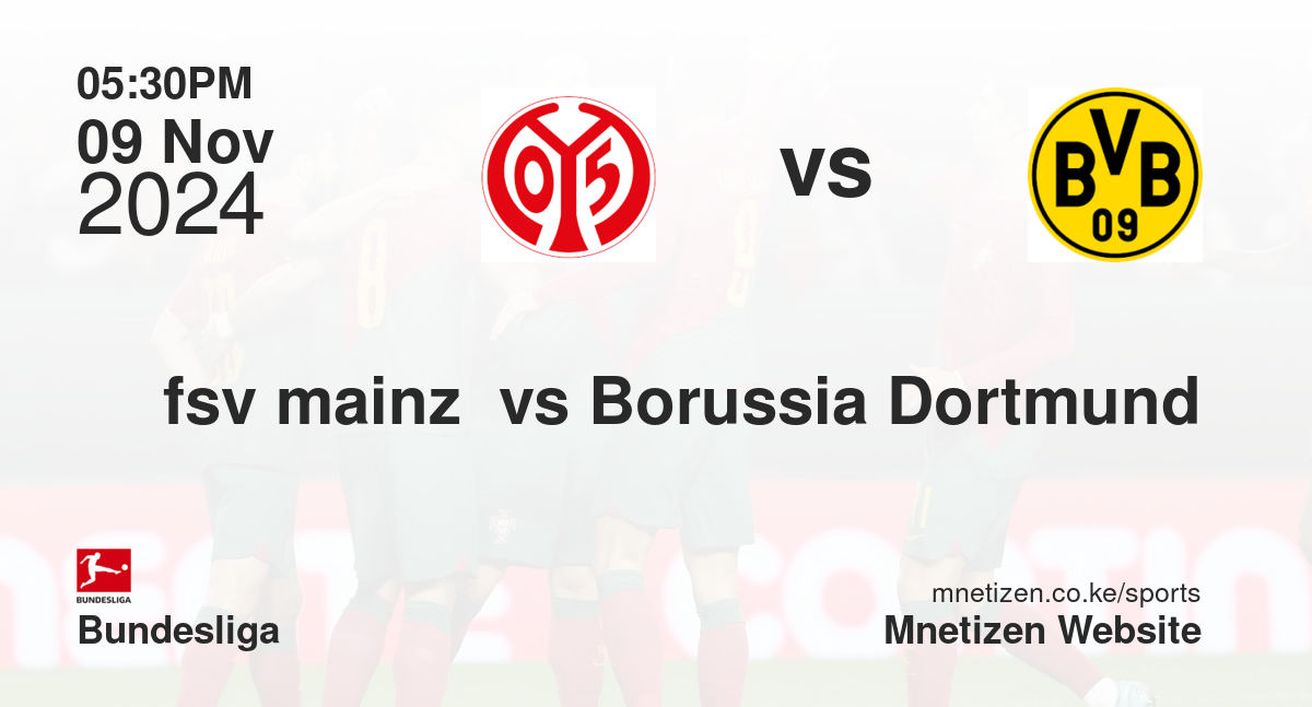 fsv mainz  vs Borussia Dortmund