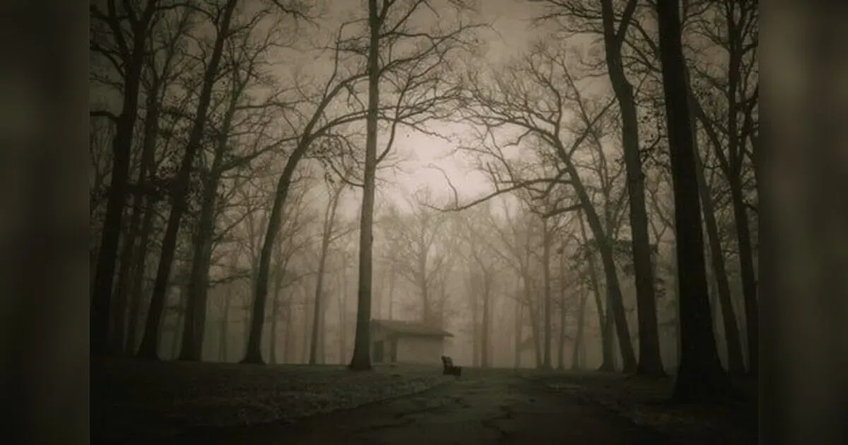 Echoes Of The Damned