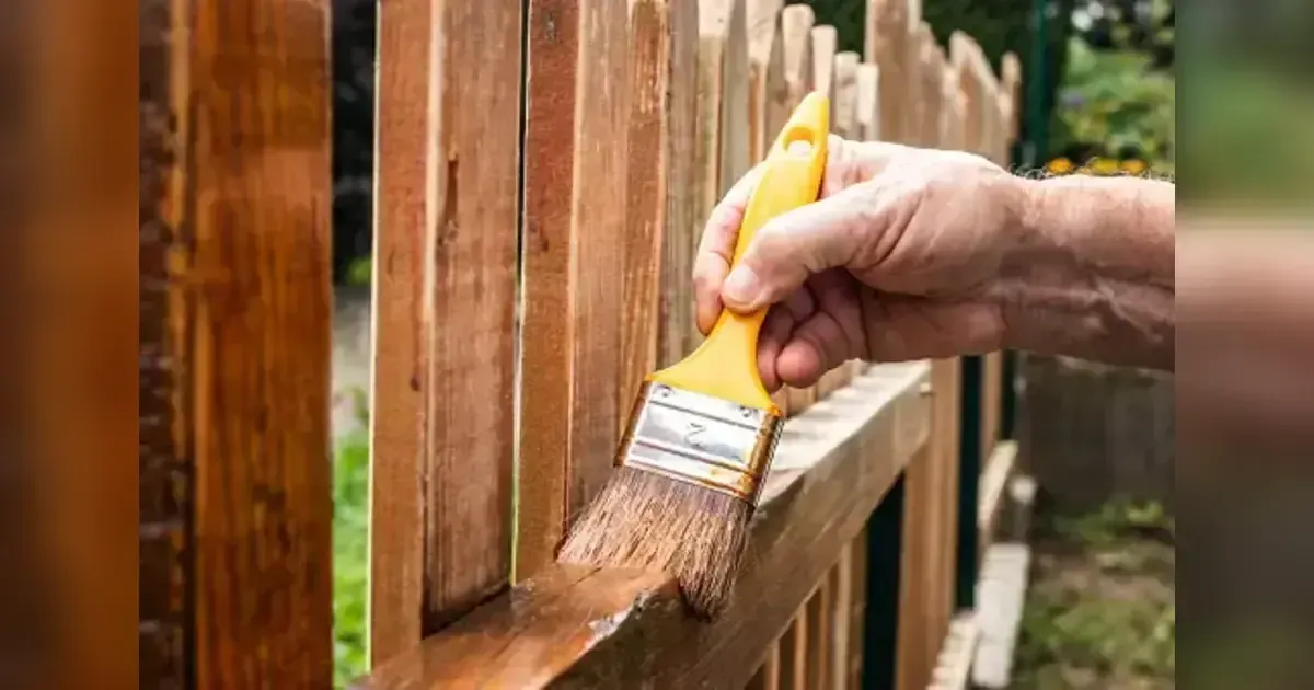 Unlock The Beauty Of Your Backyard: How To Renovate Your Garden On Budget