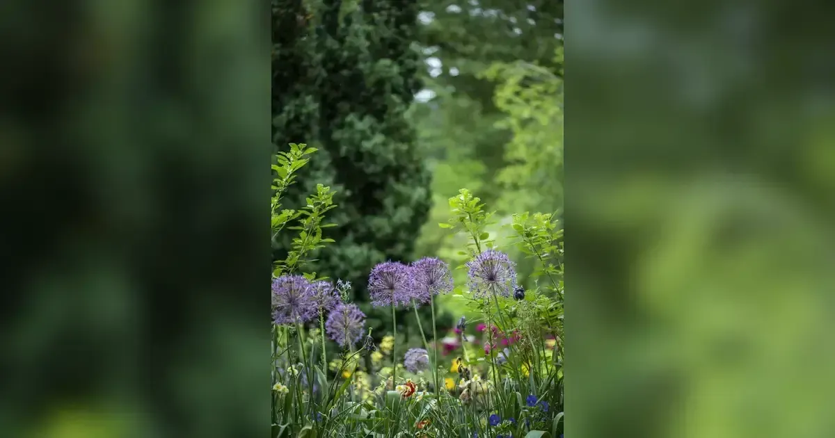 How To Start An Indoor And Outdoor Garden To Feed Your Family