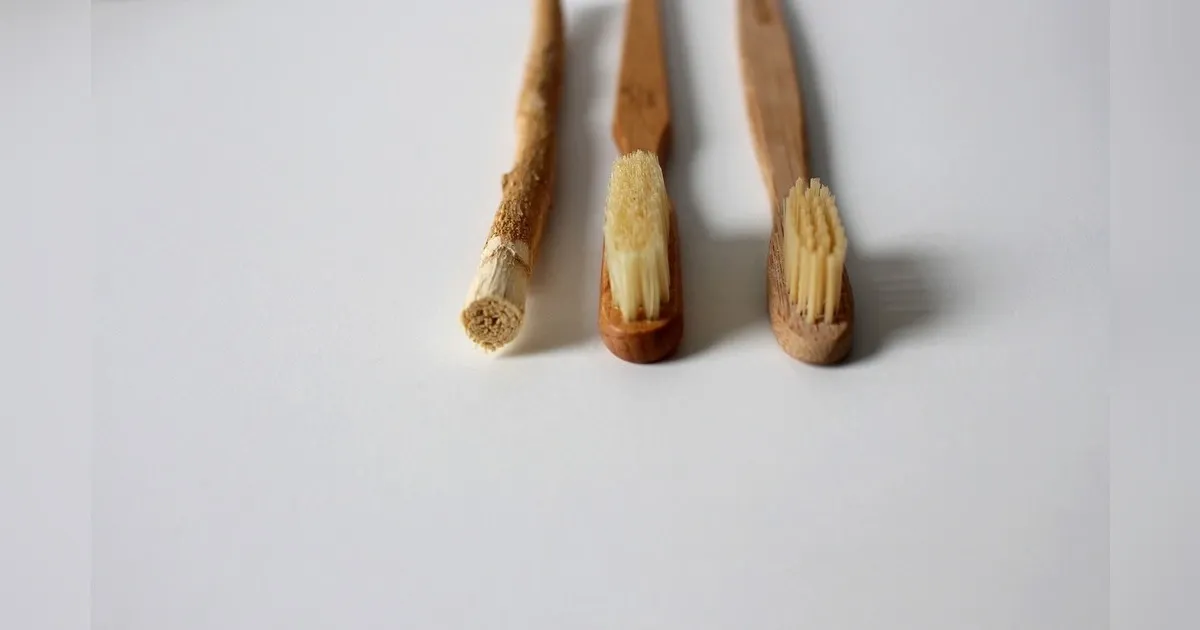Zero Waste Living For Beginners: Where To Get Started And What To Avoid