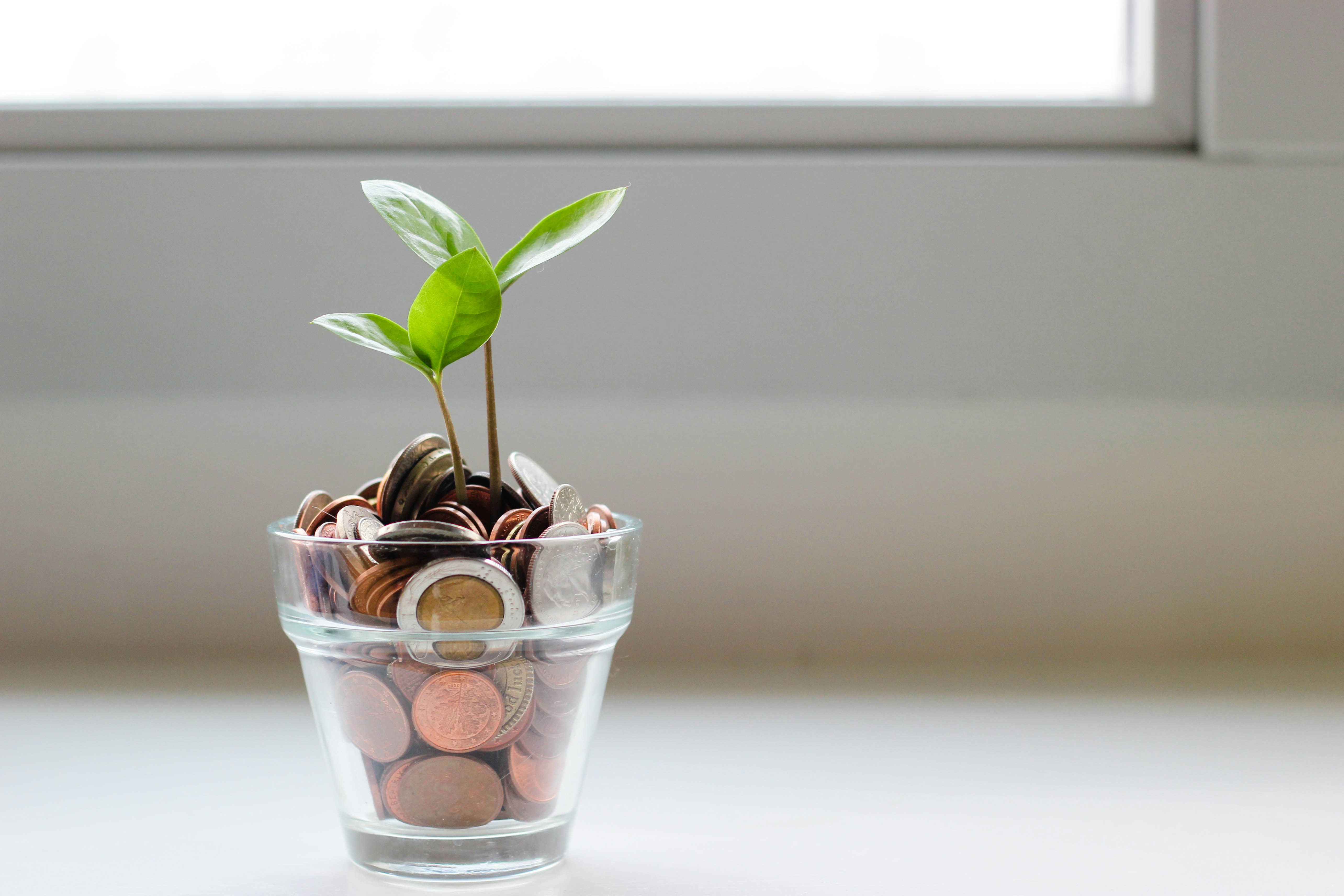 Live Large on a Small Budget: Essential Tips to Maximize Your Savings