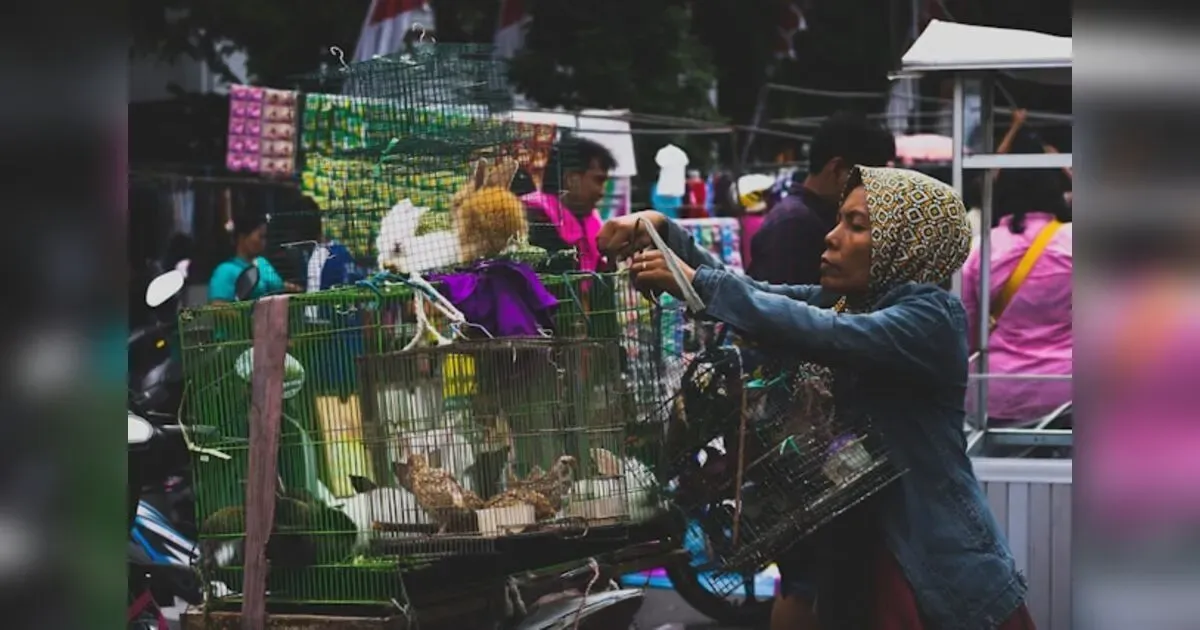 The Rabbit Cycle