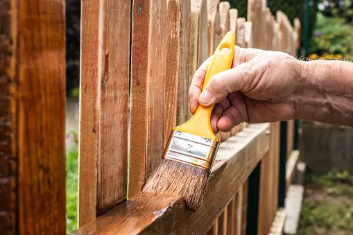 Unlock the beauty of your backyard: how to renovate your garden on Budget