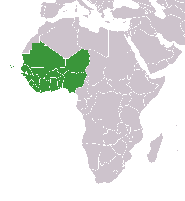Western Africa
