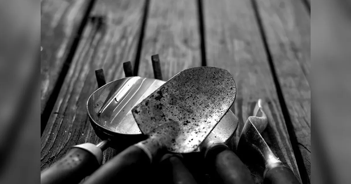 Featured image for Cultivating With Care: Essential Gardening Tools And Techniques