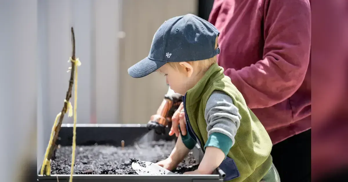 Featured image for Seed Activities To Try Out With Your Kids At Home