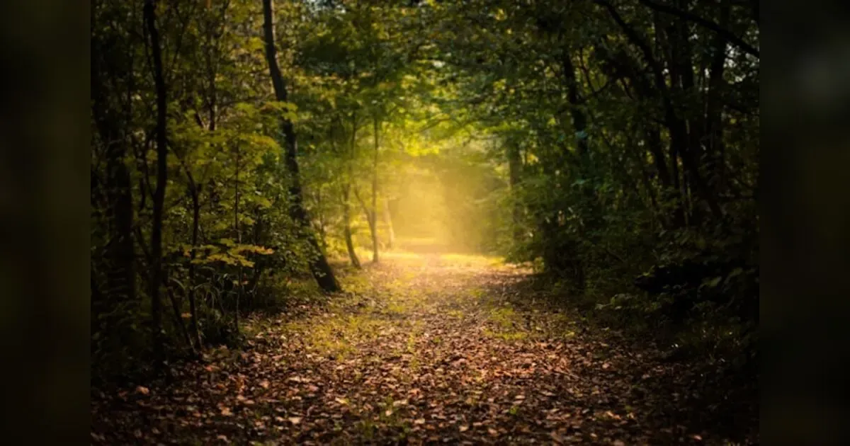 Featured image for The Rise Of Sustainable Finance: Esg Investments And The Path To A Greener Future.
