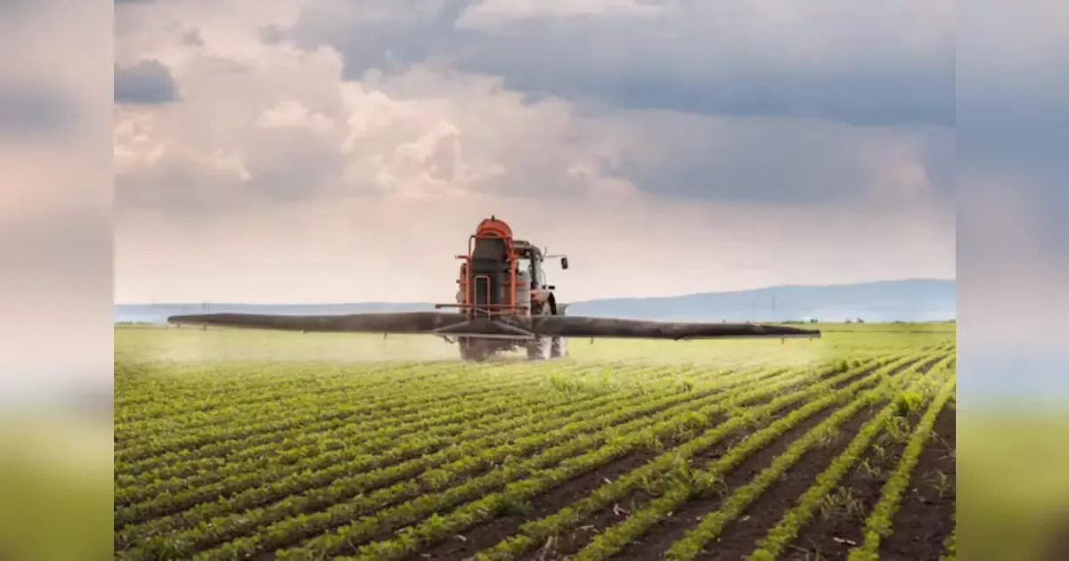Featured image for From Seed To Harvest: The Journey Of Modern Crop Farming.