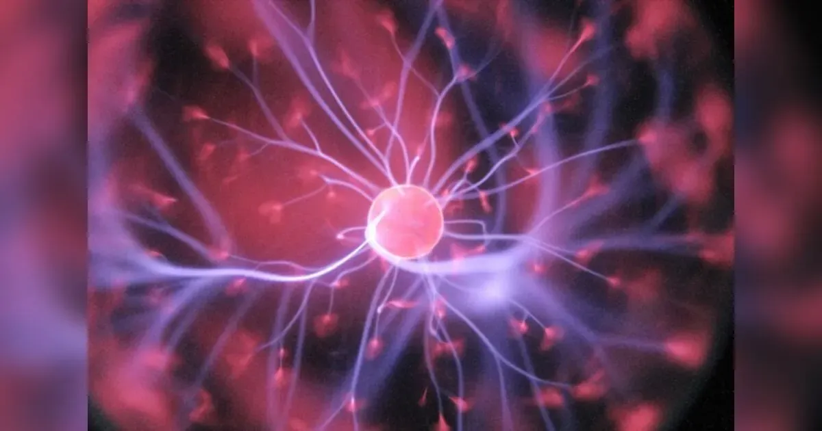 Featured image for Revolutionizing Recovery: The New Frontier Of Post Workout Science.