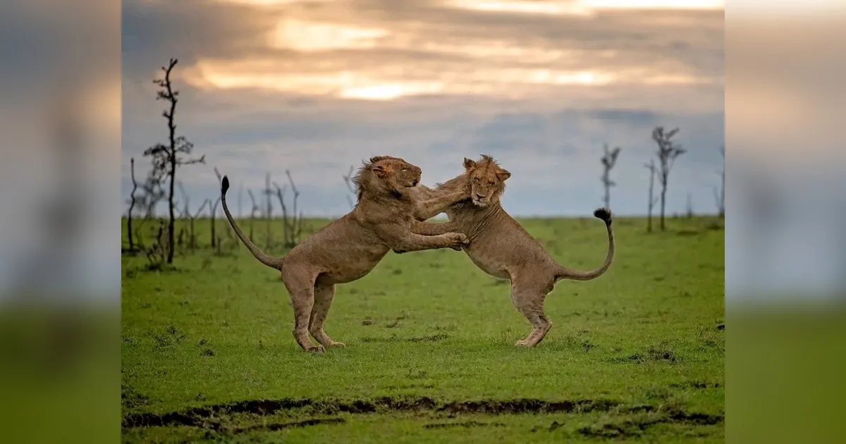 Featured image for Explore Narok's Natural Beauty 