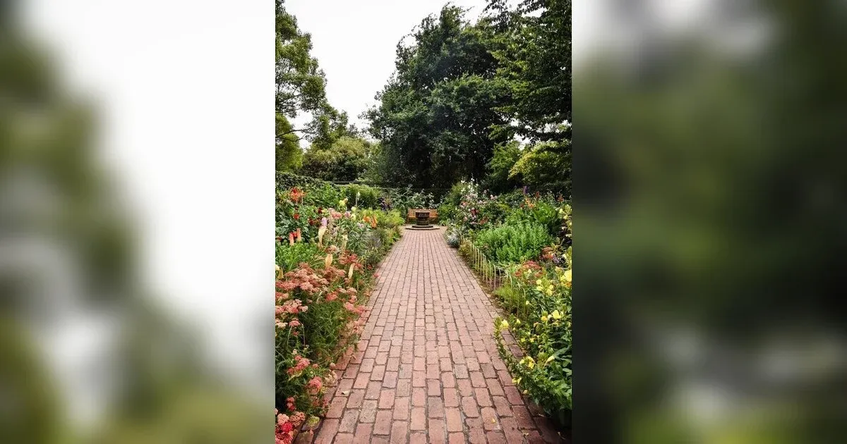 Featured image for Perennial Vegetables You Can Plant Once