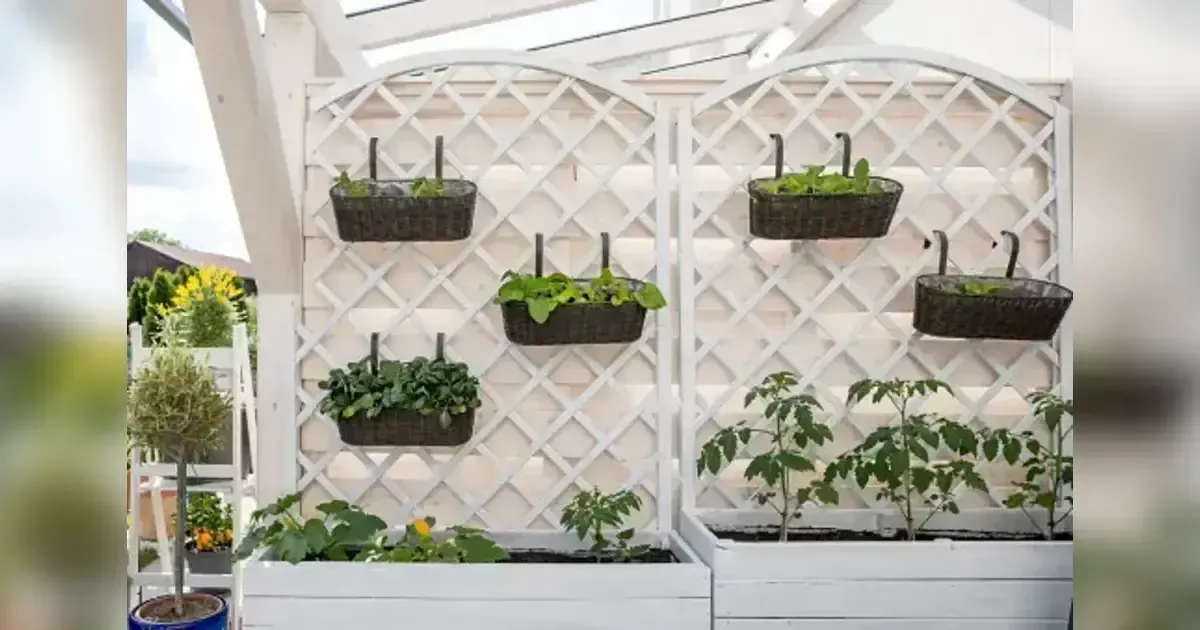 Featured image for Grow More, Live More: Space Saving Vertical Gardening Hacks