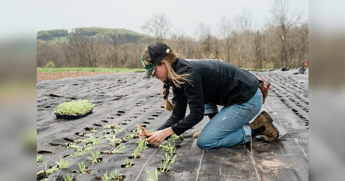 Featured image for Beyond Organic: Cultivating A Future With Regenerative Agriculture